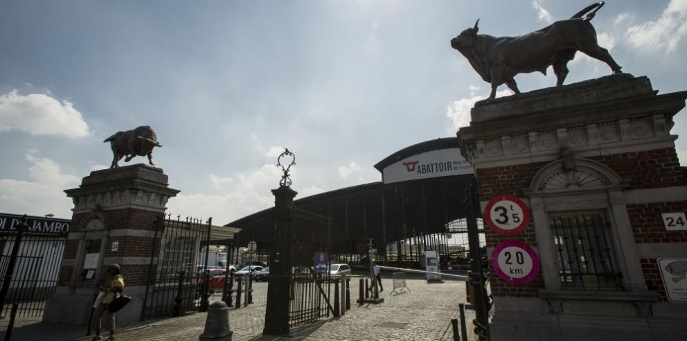 © sau-msi.brussels (Reporters)