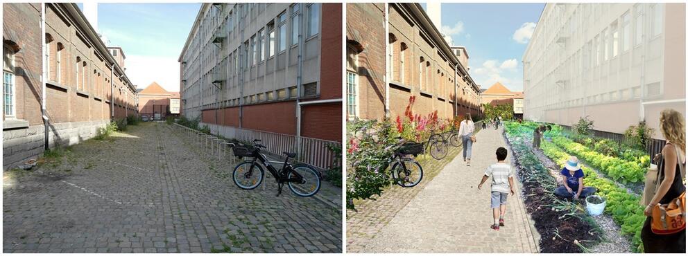 © sau-msi-brussels (Anyoji Beltrando) 